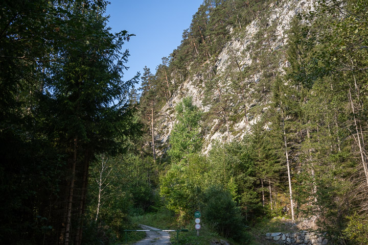Waldweg